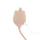 Eclektika, boutique en línea de productos de bienestar íntimo de alta calidad.
